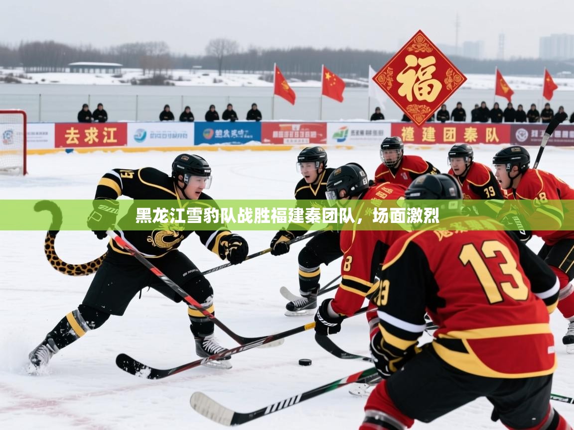 黑龙江雪豹队战胜福建秦团队，场面激烈